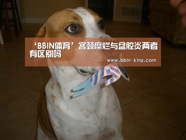 BBIN篮球