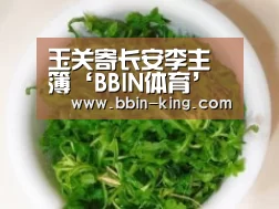 BBIN篮球