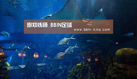 BBIN电竞