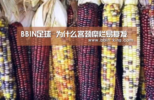 BBIN足球-为什么宫颈糜烂易复发(图4) BBIN篮球