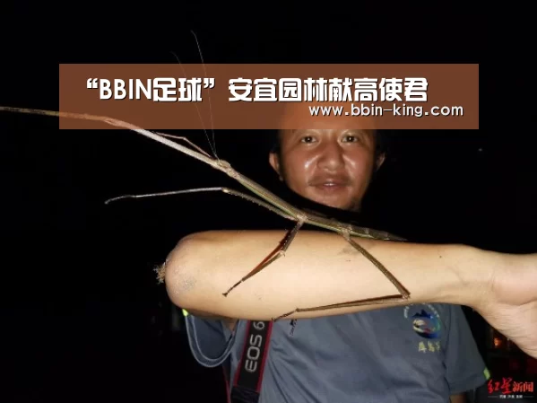 BBIN电竞