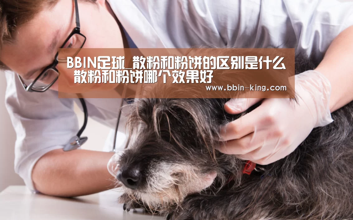 BBIN足球_散粉和粉饼的区别是什么 散粉和粉饼哪个效果好(图1) BBIN篮球